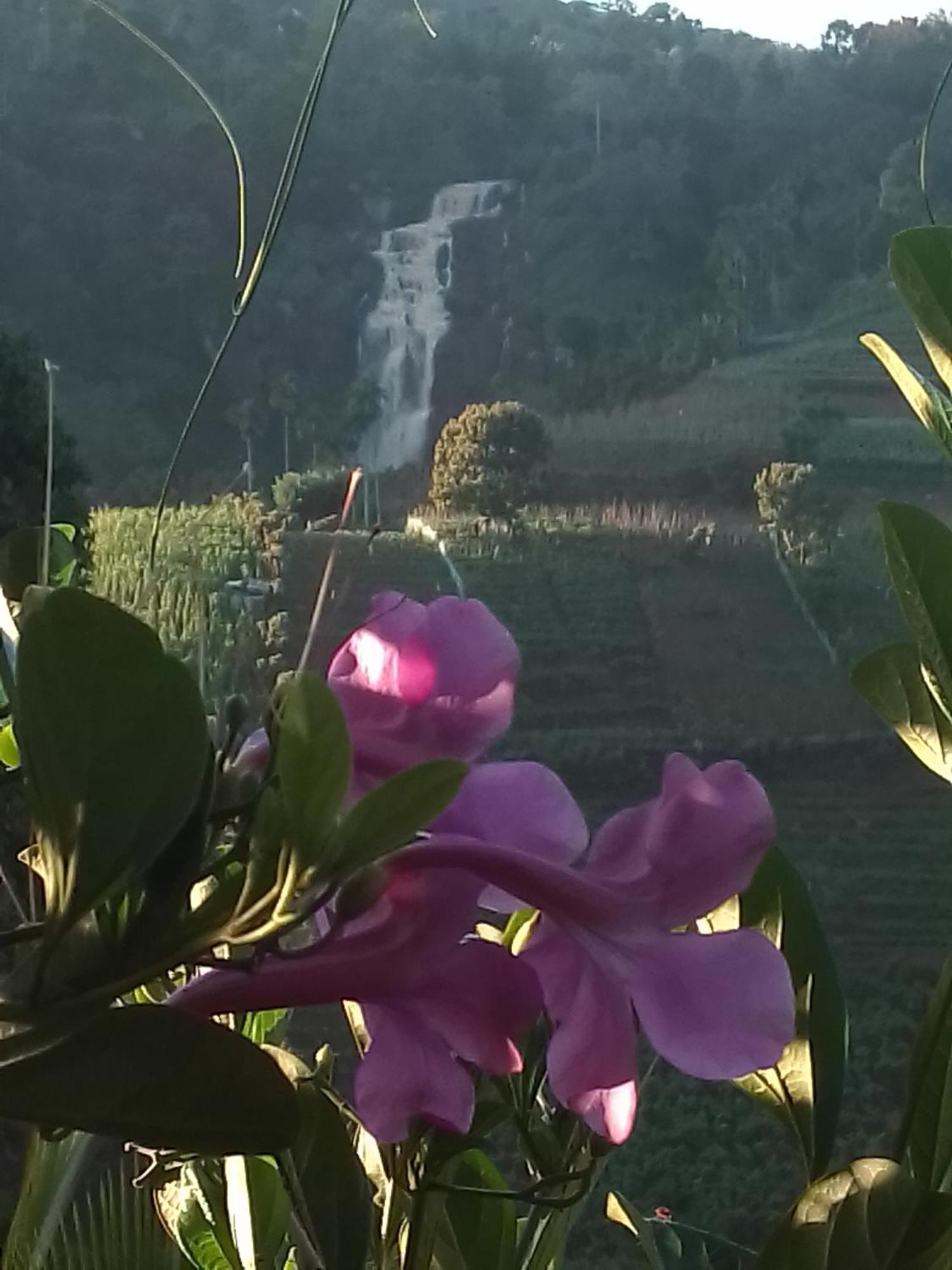 Cascade Vally Ella Ngoại thất bức ảnh